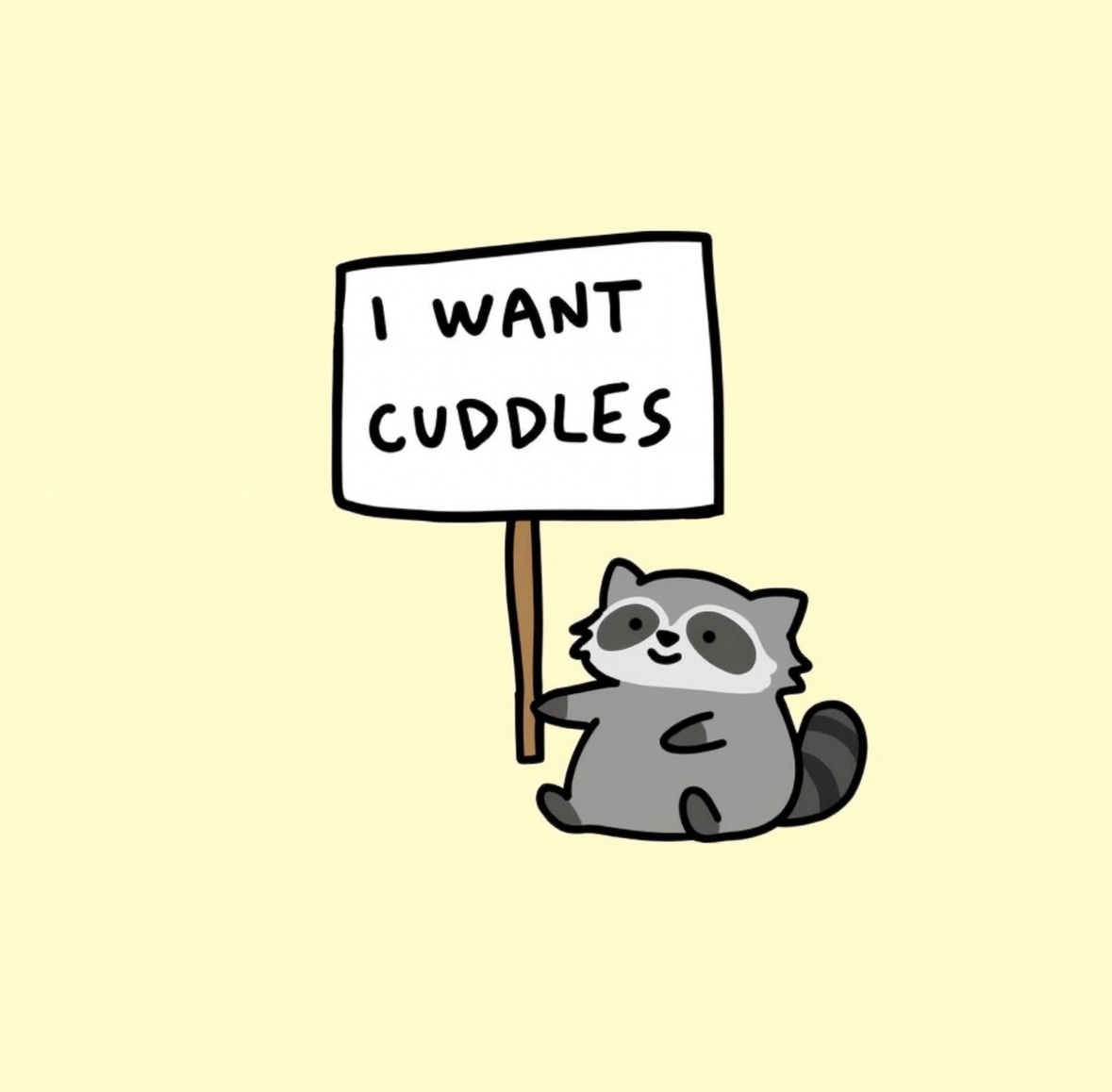 raccoon aesthetic. (@raccoonesthetic) on Twitter photo 