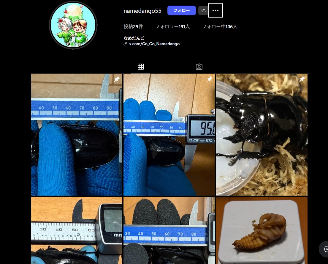 インスタで私のアカウントが乗っ取られ、ストーリーが更新されまくっています。

変なDM、ストーリーきた場合完全無視でお願いします。ブロックしてください。

ご迷惑をおかけしてしまい、大変申し訳ありません。