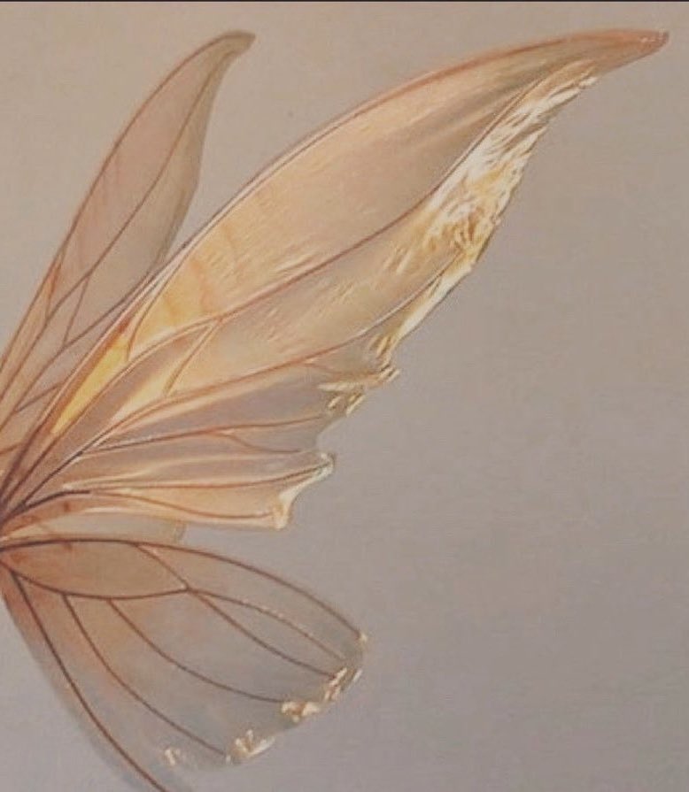 topgun0901's tweet photo. My fairy https://t.co/xYiiUny1QO