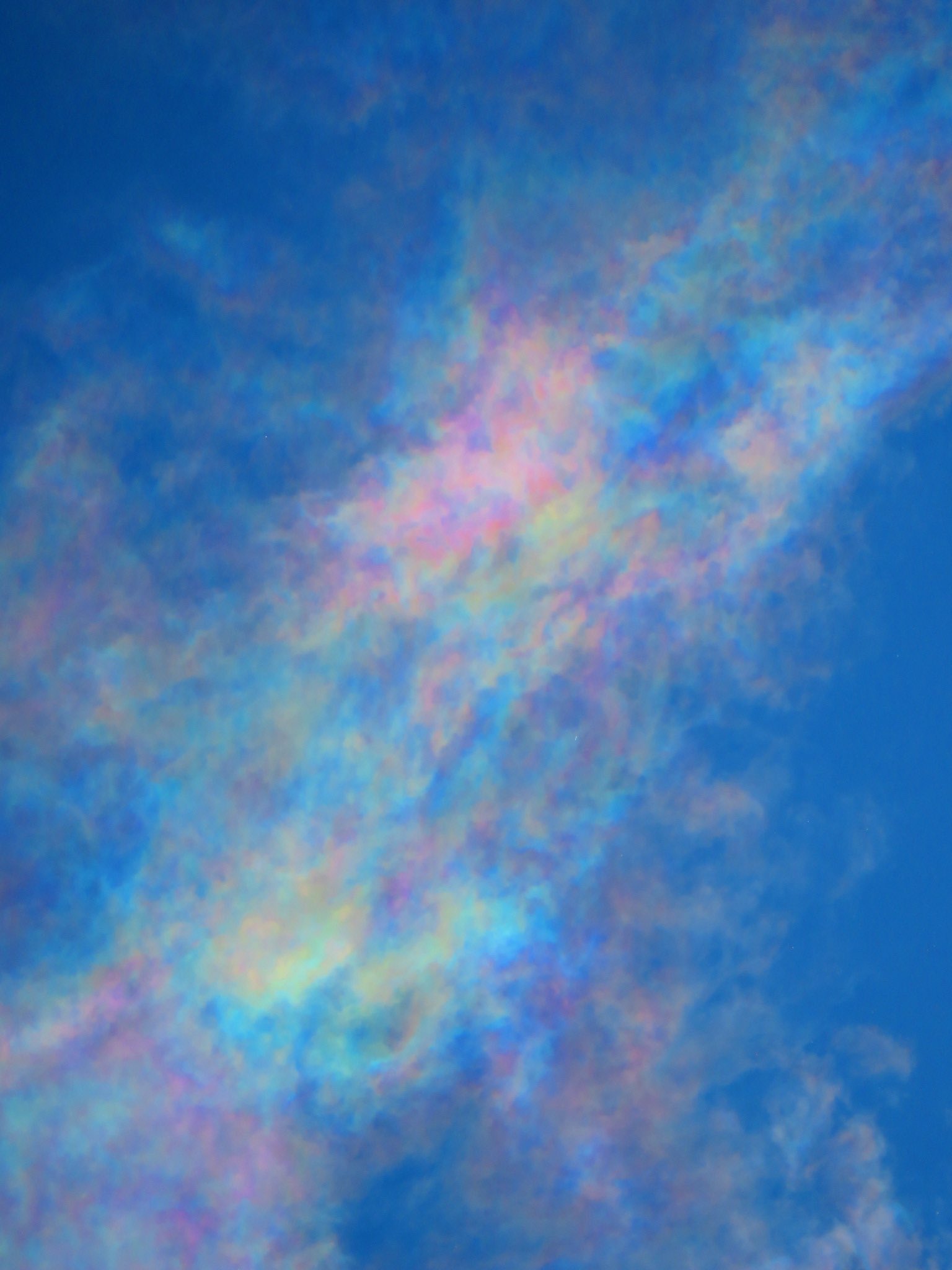 ◆空◆荒木孝介 直送 新品 SM【パステル・色鉛筆等】◆丁寧梱包◆風景画 雲 ひつじ雲🐑🐏☁️ #沖縄 #沖縄県 #沖縄好き #okinawa