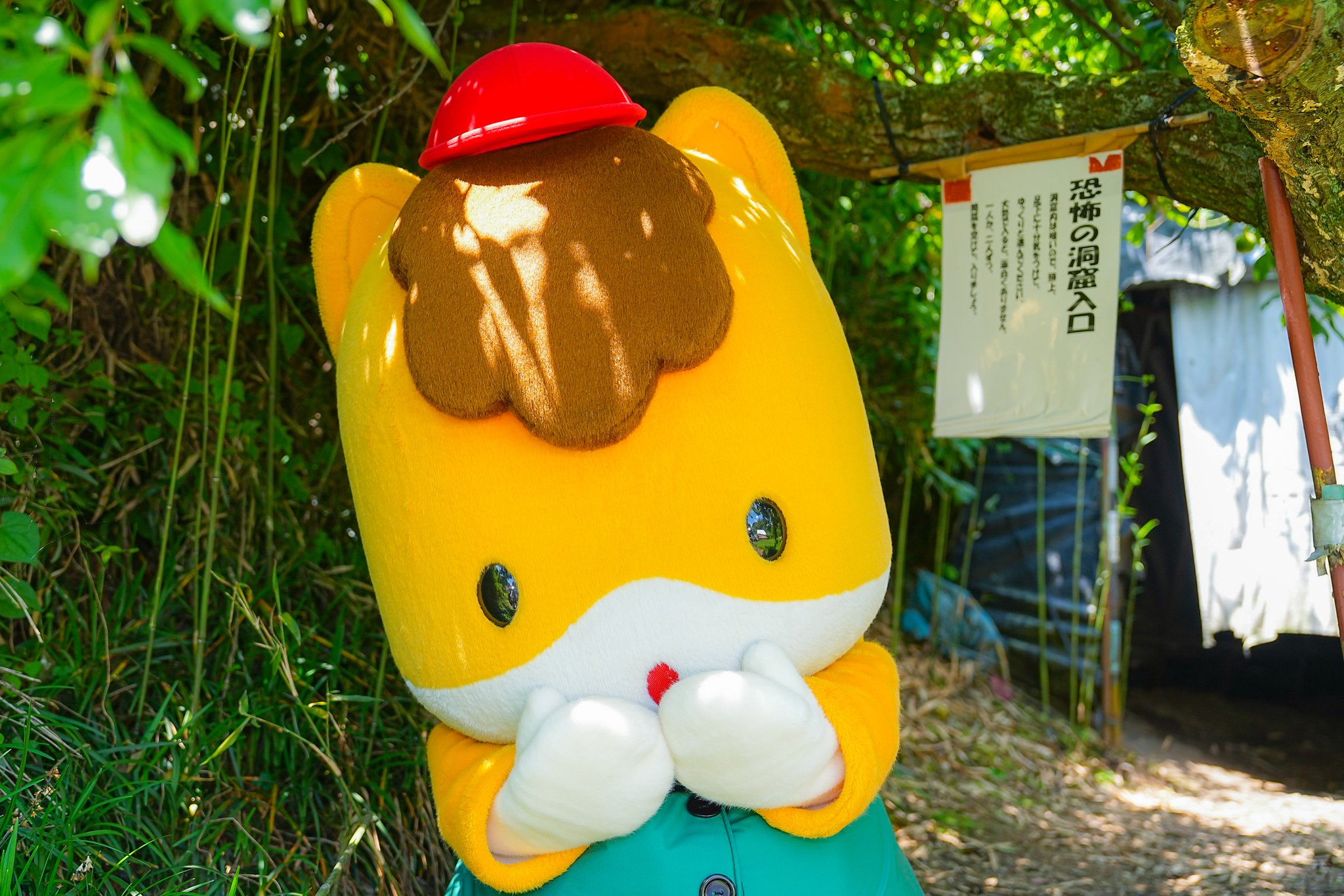 くまちゃん　☆群言堂 おんがくたいくまちゃん - 株式会社岩崎書店 この1冊が未来をつくる