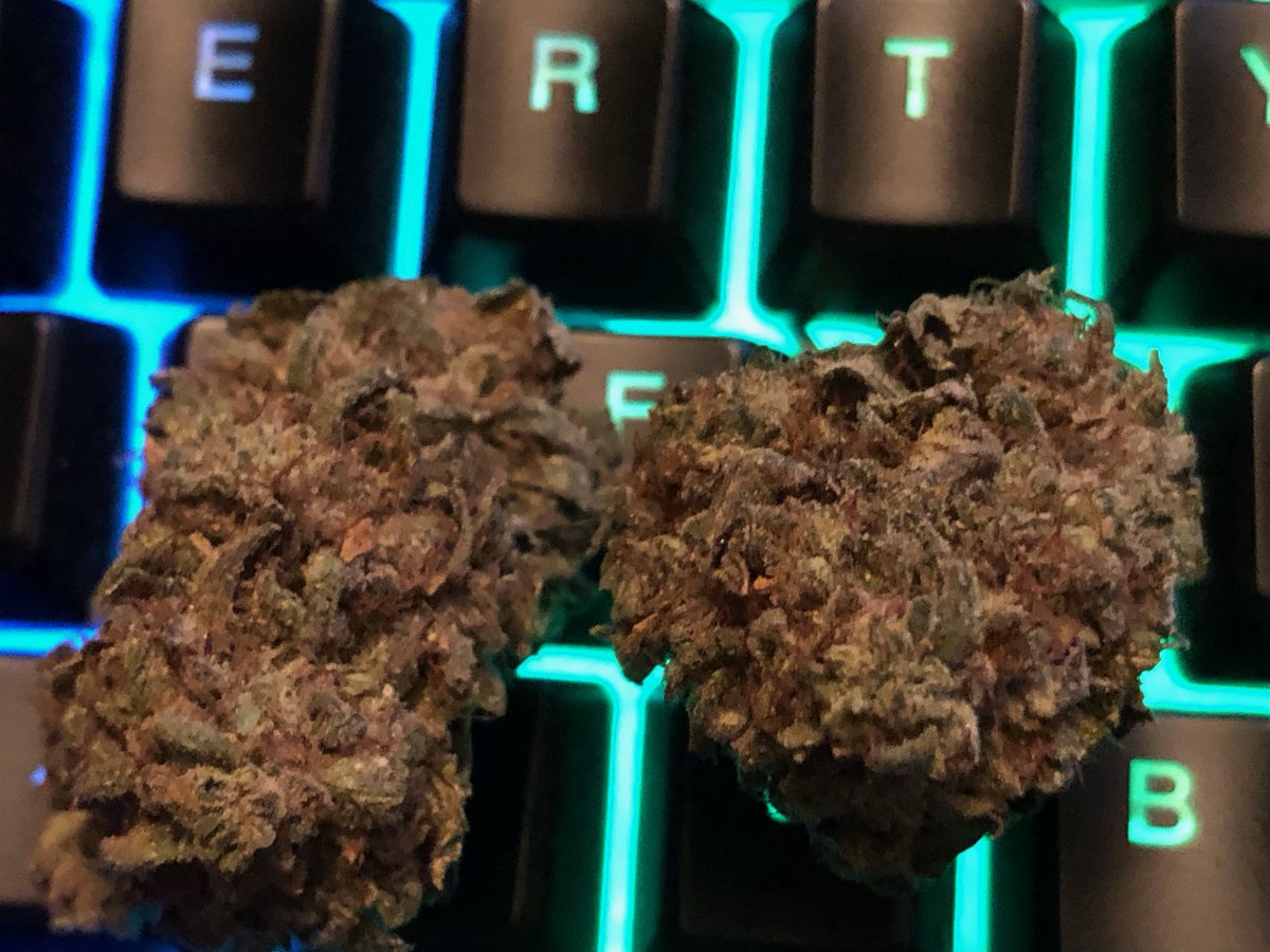 TobiasLhighNagy's tweet image. Soap or Zoap?  😏😏😏

#Zoap