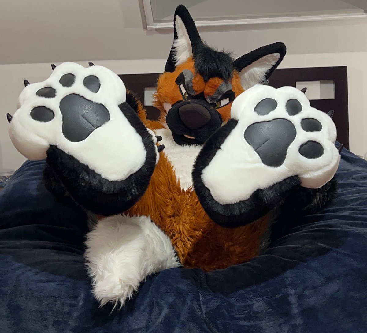 I dream of bean
#fursuitfriday
