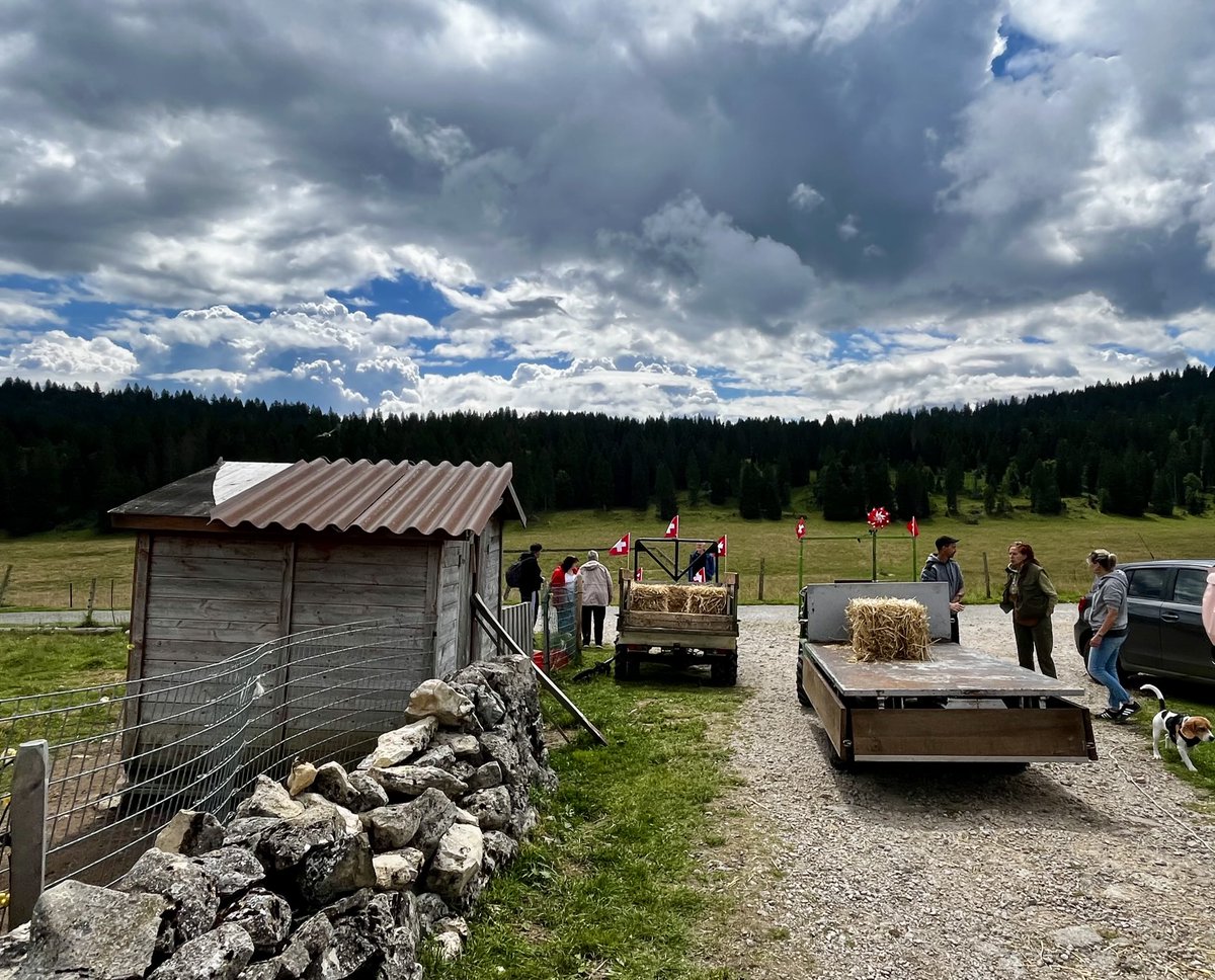 LingenfelderLAB🕊 tweet media