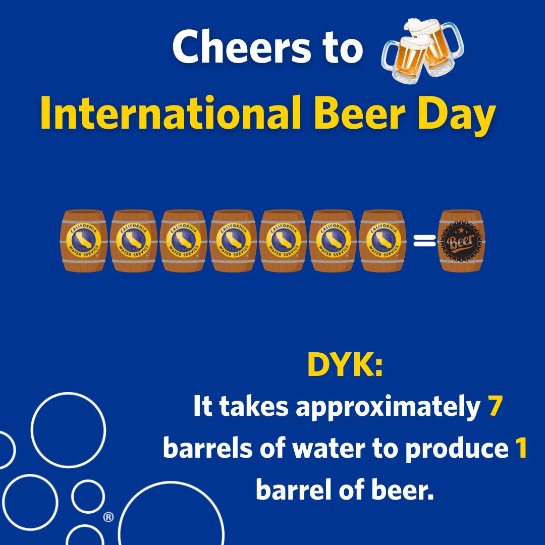Happy International Beer Day! 🍺💧
It takes about 37 gallons of water to produce just one pint of beer—that's no small pour. Why? Because water makes up 90–95% of beer and plays a key role in every step of the brewing process. Here's to raising a glass and protecting every drop!