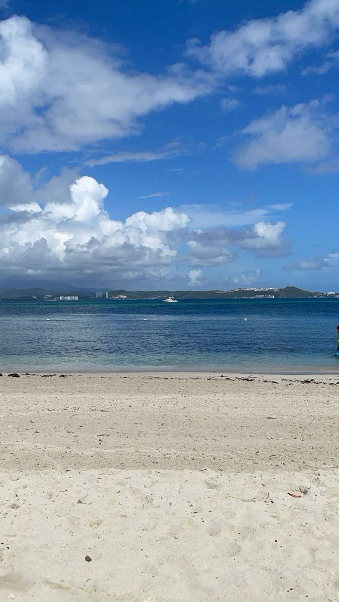 While diving, marine mammals drop their heart rate to conserve oxygen, some to just 4 bpm. Humans do it too: the dive reflex slows your pulse, even with a simple face splash. 🌊🫀 #DiveReflex #CardioTwitter #BeachBiology