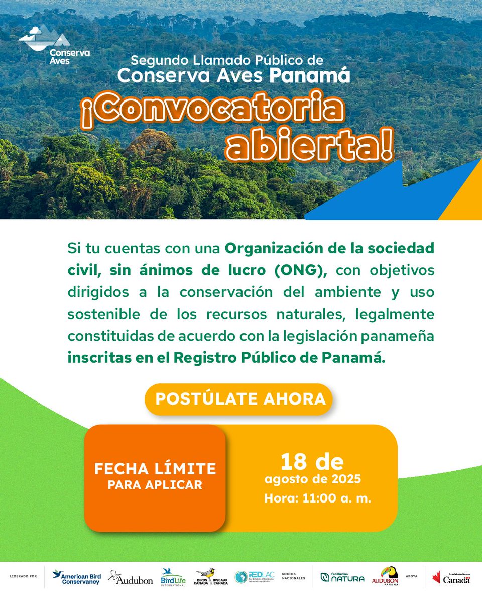 ¡Excelente noticia!
📢Abrimos la convocatoria de #ConservaAvesPanamá 2do llamado.
Descarga el Manual de Convocatoria y aplica si eres parte de una ONG que busca respaldar esfuerzos en la conservación de la naturaleza.

📅 Fecha de cierre: lunes 18 de agosto de 2025
