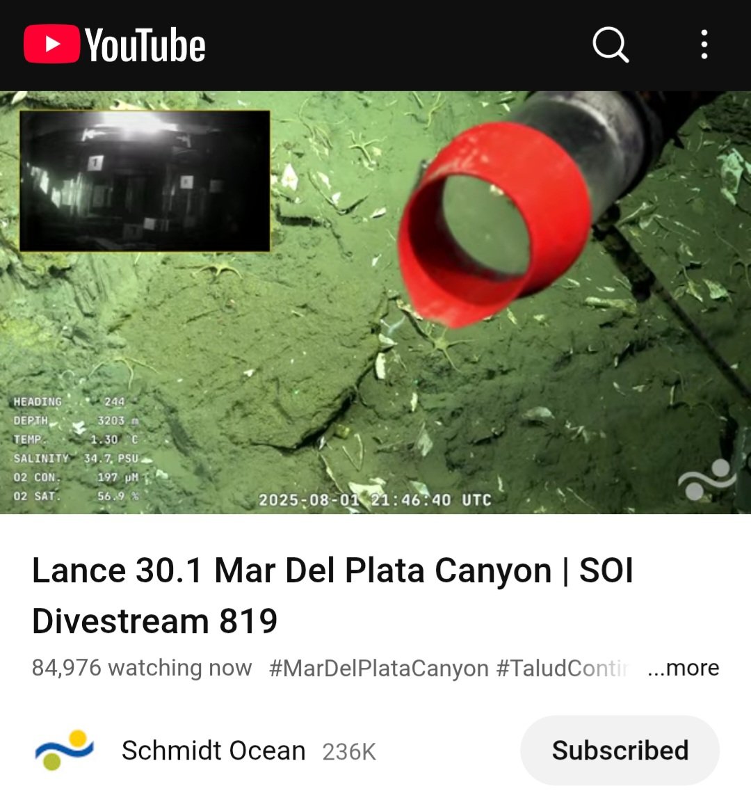 Casi 85mil personas, QUÉ DELIRIO HERMOSO es la ciencia!!
#cienciaArgentina