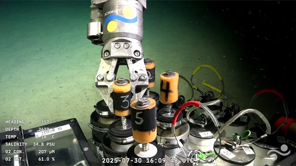 Hoy el mundo habla de la investigación que están llevando a cabo científicos del <a href="/Conicet/">Conicet</a> en el Mar Argentino, destacando la importancia de la ciencia y la tecnología para la República Argentina. 

Dentro del equipo que realiza estas labores se encuentran Martín Brogger, Gregorio