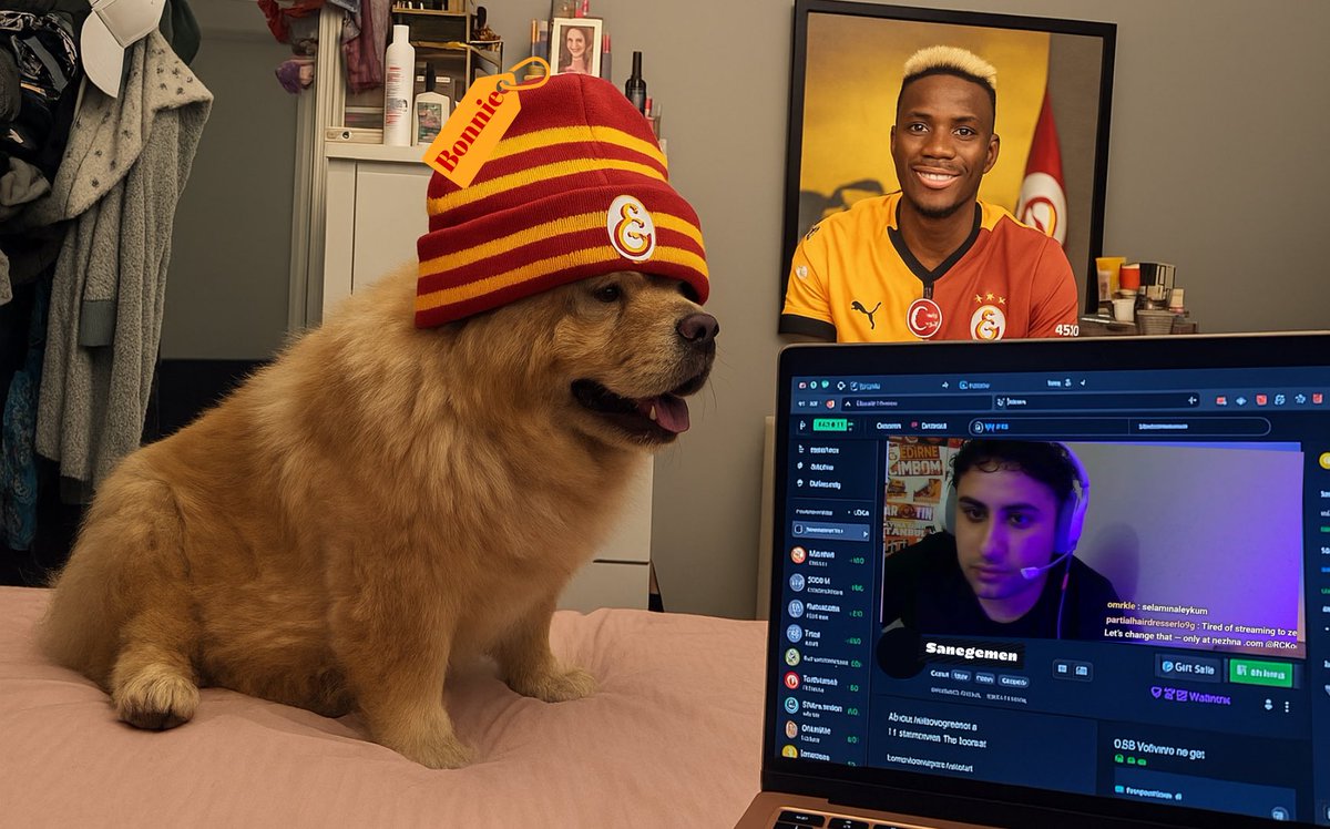 Poci poci, Bonnie Sentar