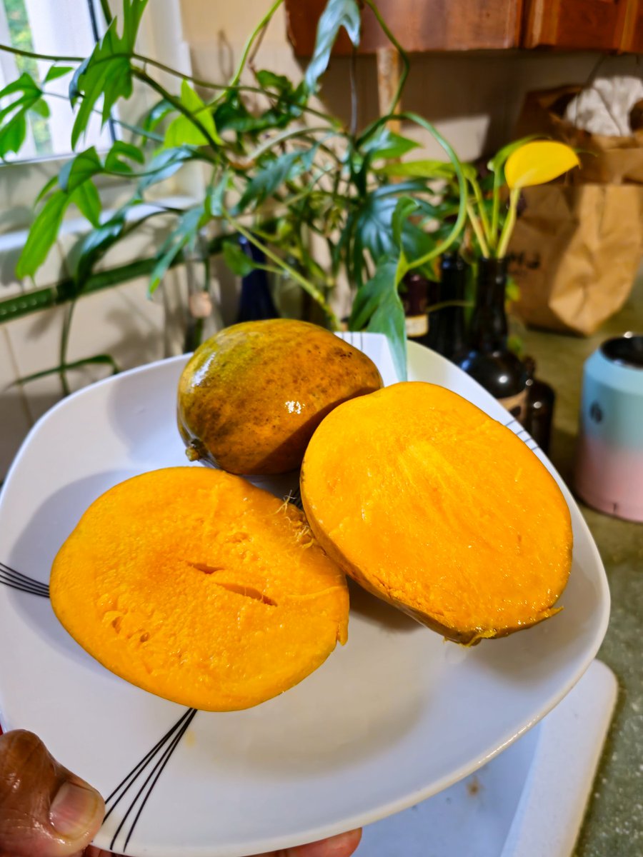 I'll happily fill out that form for this kinda welcome home every single time 😍😁

Nothing compares to mangoes fresh off the tree in Trinidad and Tobago 😍