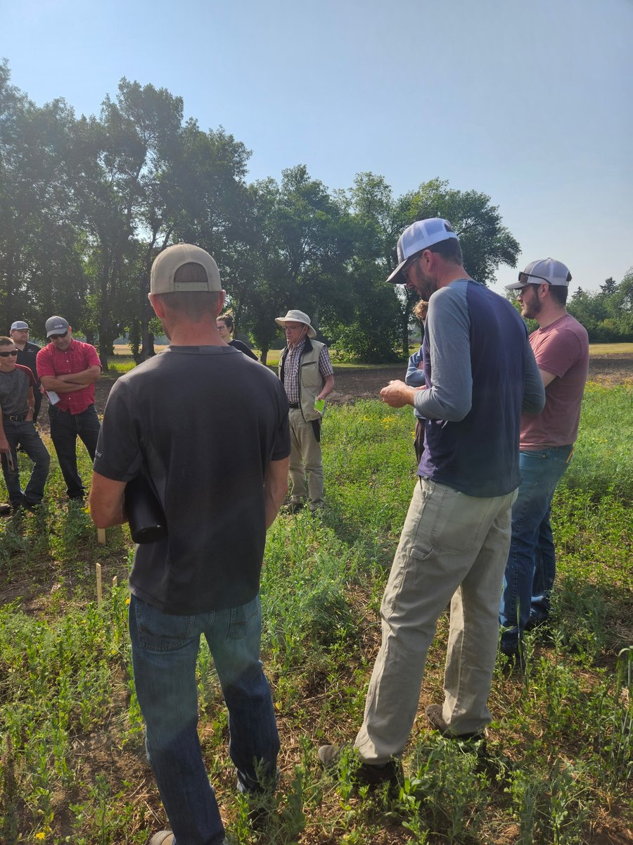 Mackenzie Research tweet media