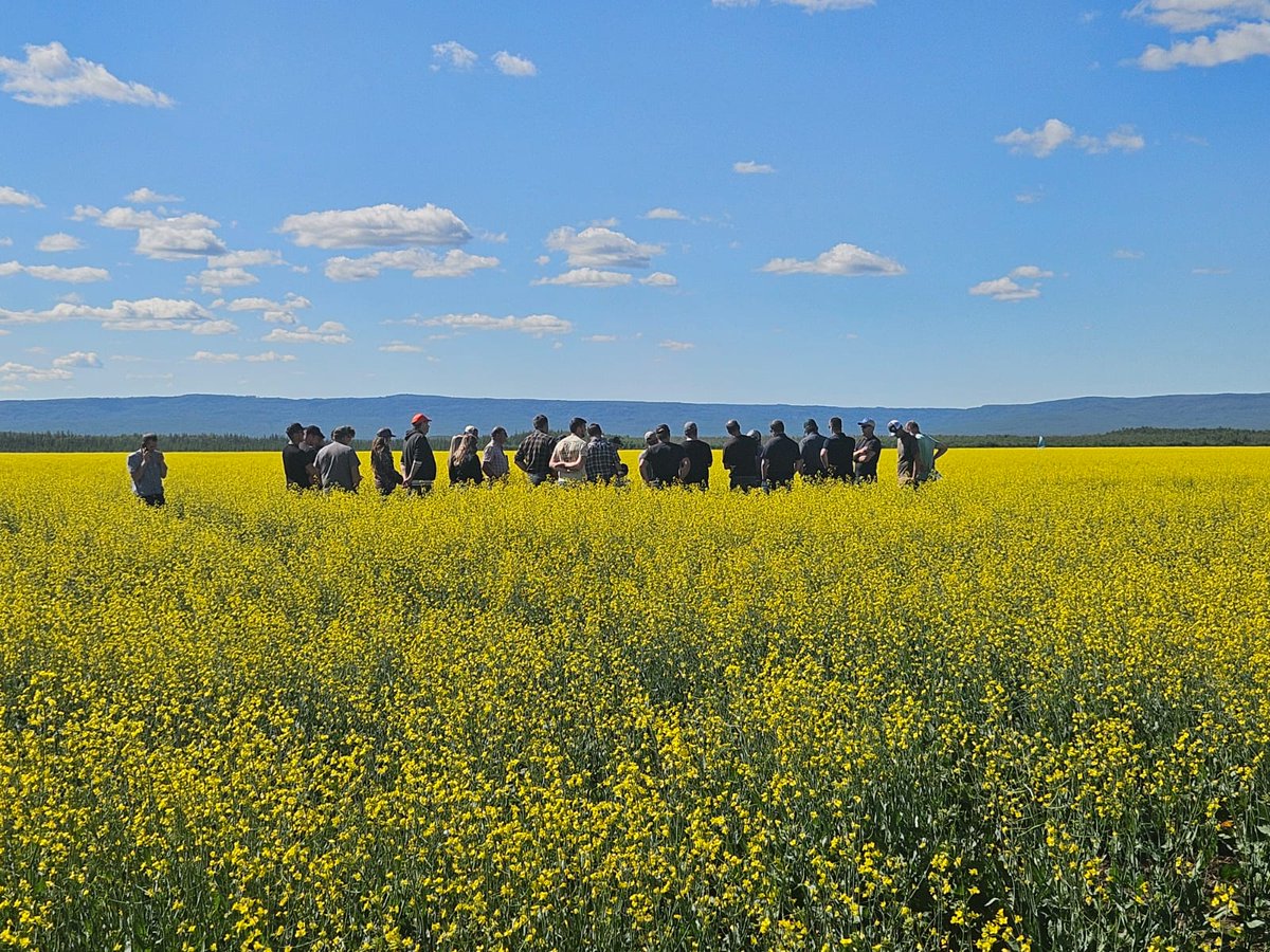 Mackenzie Research tweet media