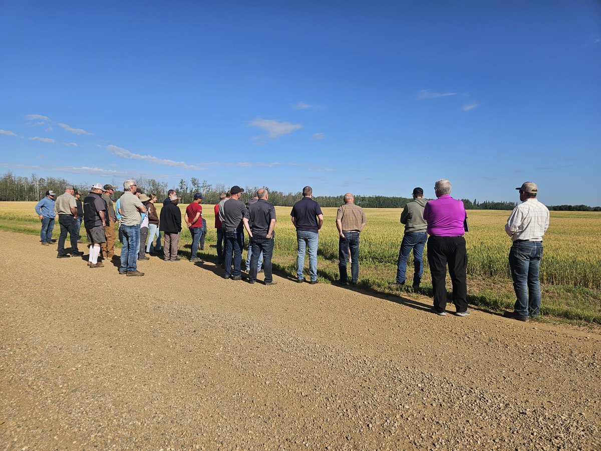 Mackenzie Research tweet media