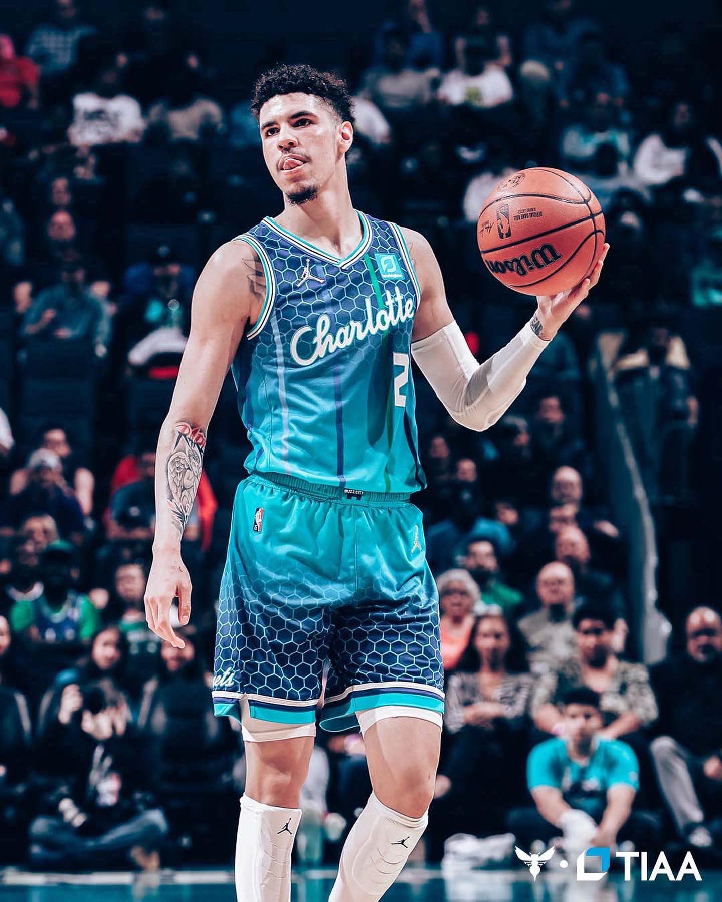 シャーロットホーネッツHornetsラメロボールNBAコービーKOBEジョーダン シャーロット ホーネッツ ジョーダン MVP セレクト シリーズ