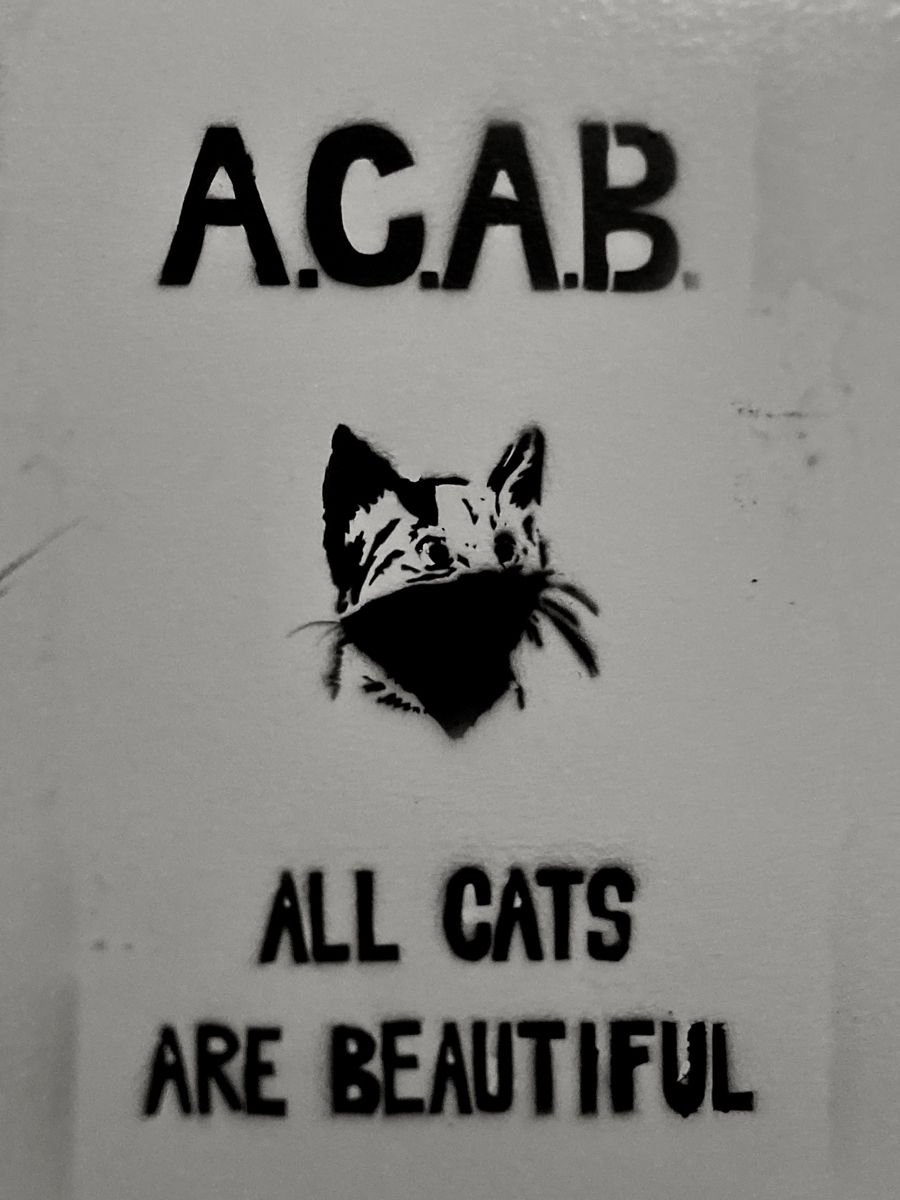 A.C.A.B.
ALL CATS ARE BEAUTIFUL