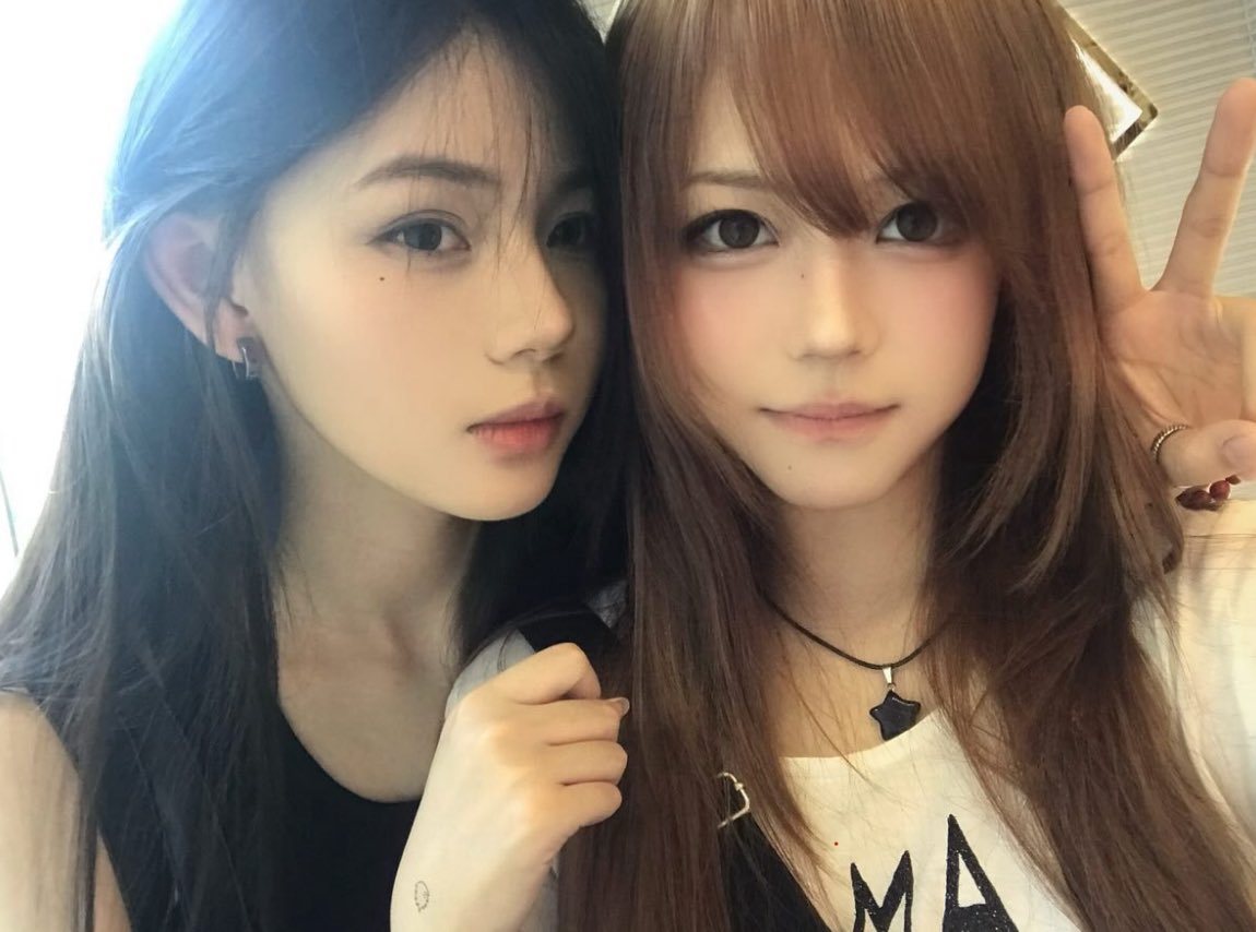 樹皮刺蝟粉丝账号｜ヘッジ tweet media
