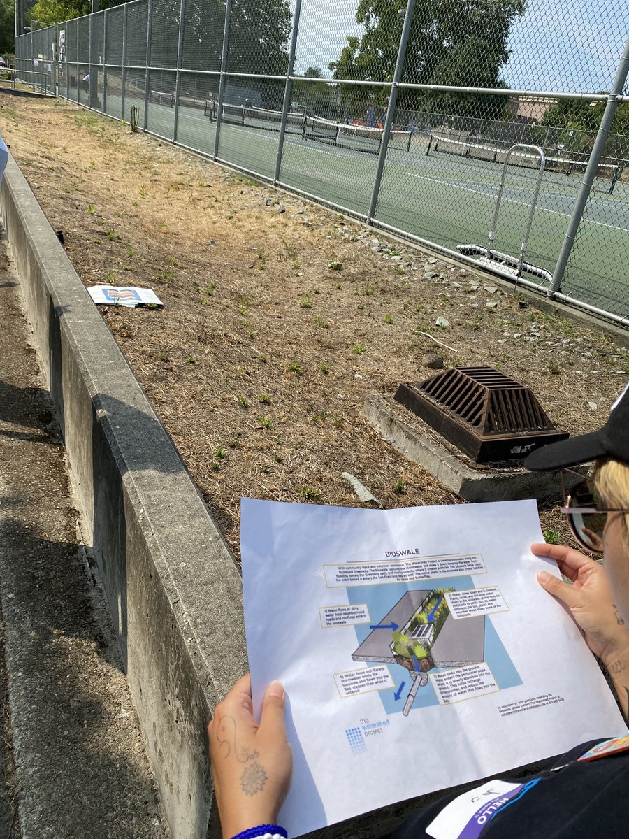 FN_CarmenB's tweet photo. Have you seen a #BioSwell in your community? This one is not doing very well. #WonderWhy can we fix it for @rainierbeach ? https://t.co/eJ7Db4zyBk