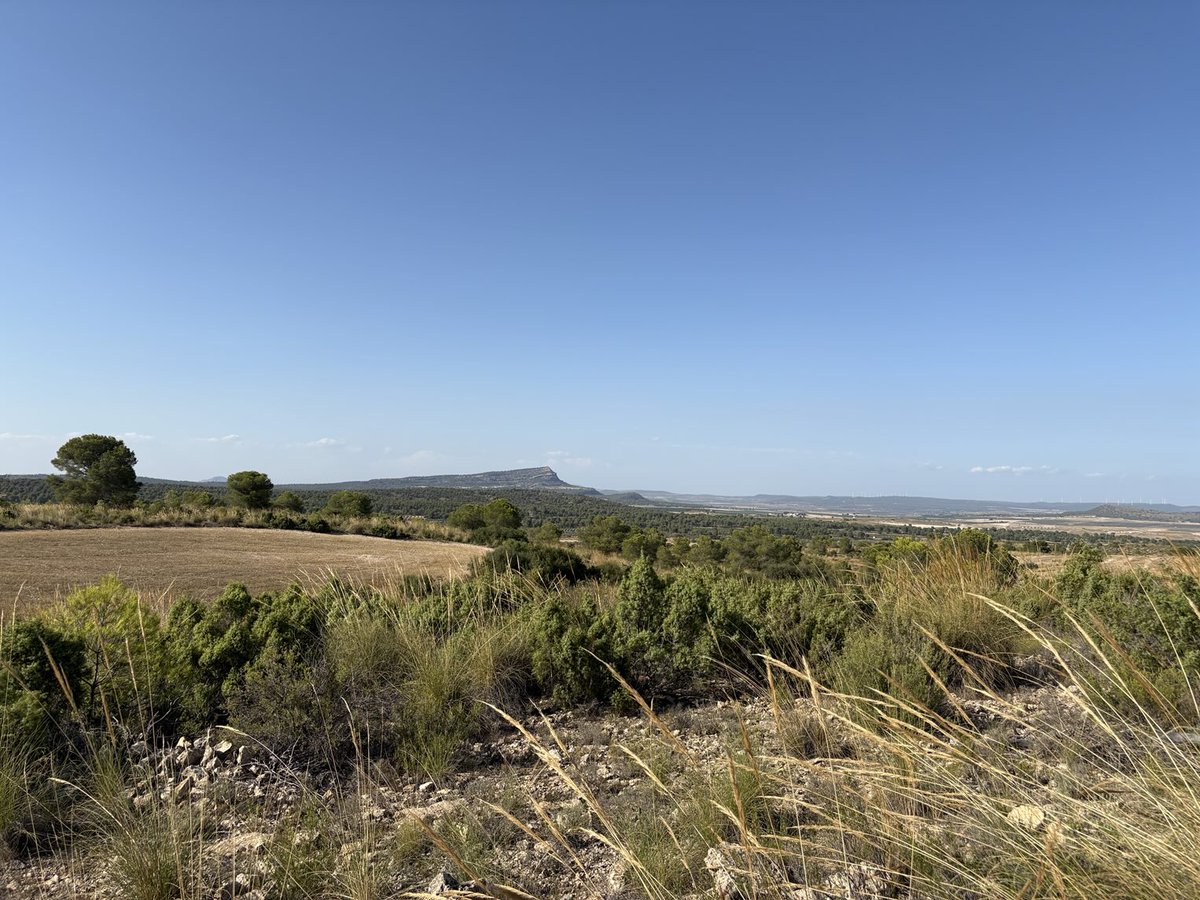 Cecilia Azorín (@ceciliaazorin) on Twitter photo Las vistas del Monte Arabí desde mi querido campo en #Jumilla. Infinitamente feliz aquí 🫠 Las vistas del Monte Arabí desde mi querido campo en #Jumilla. Infinitamente feliz aquí 🫠