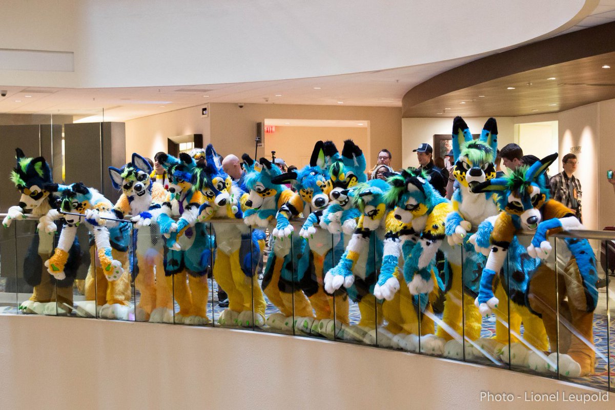 Ra88_Nate's tweet image. Every once and a while I stumble on stuff that makes me smile so hard.