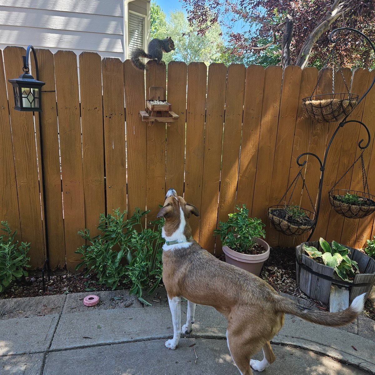 Karyn (@karynlovesco) on Twitter photo 