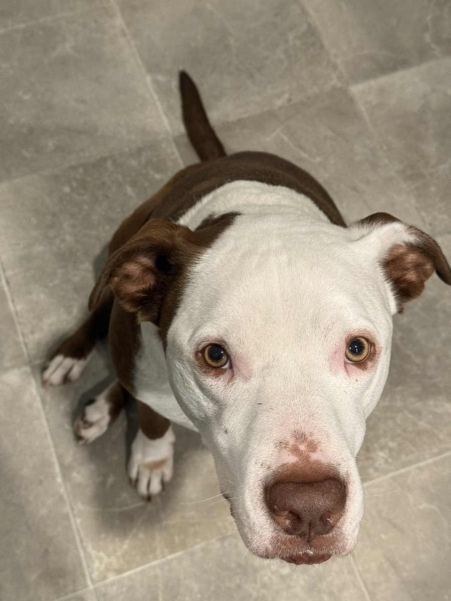 Margo Altshuler tweet media