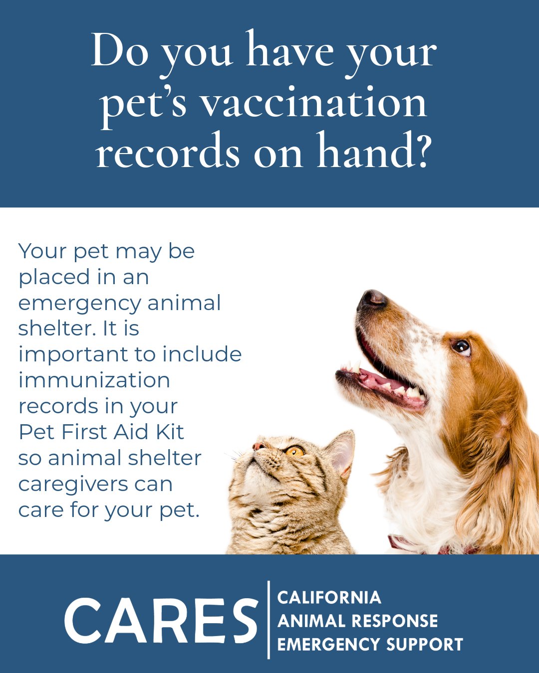 How Do I Get My Dog Vaccination Records: Quick & Easy Guide