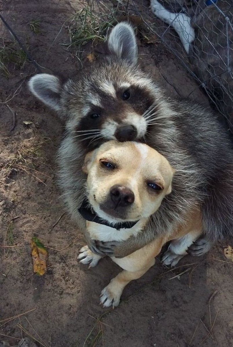 If this made you smile please leave a heart ❤️