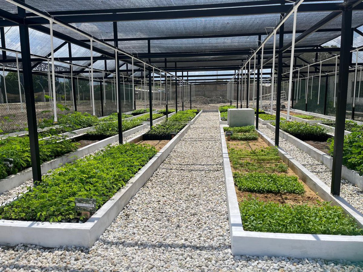 CORPAMAG entrega megavivero bioclimático a la Institución Educativa San Juan del Córdoba en el municipio de Ciénaga corpamag.gov.co/index.php/comp…
