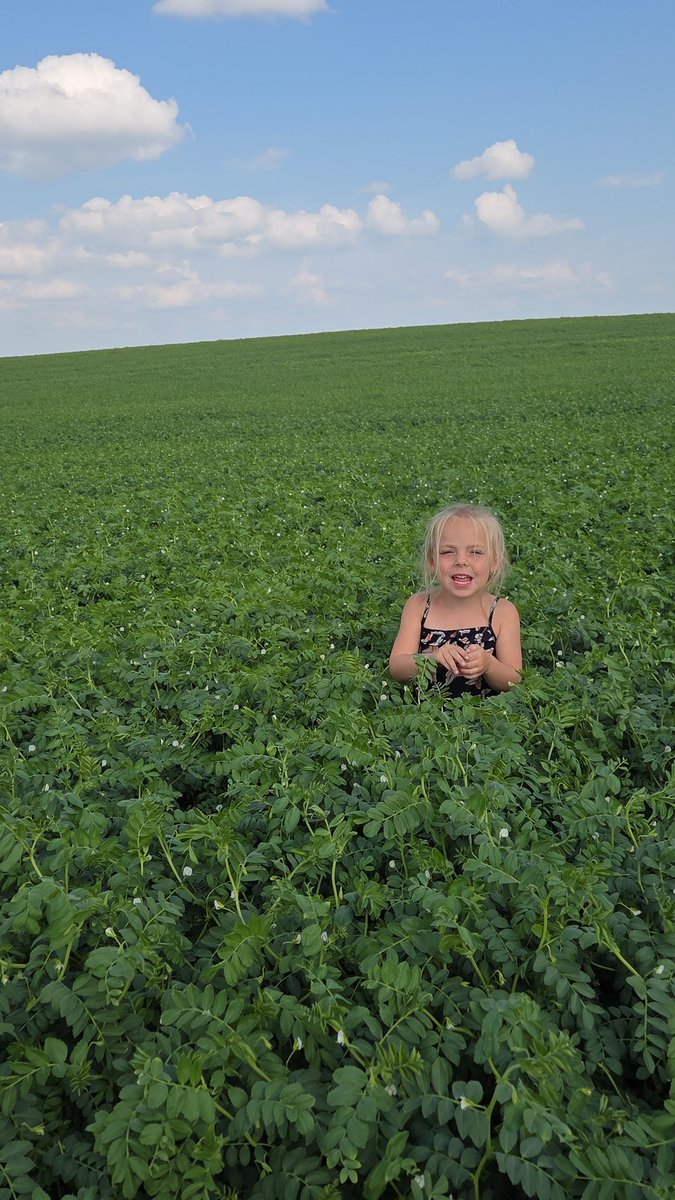 Alaya's favorite time of year.