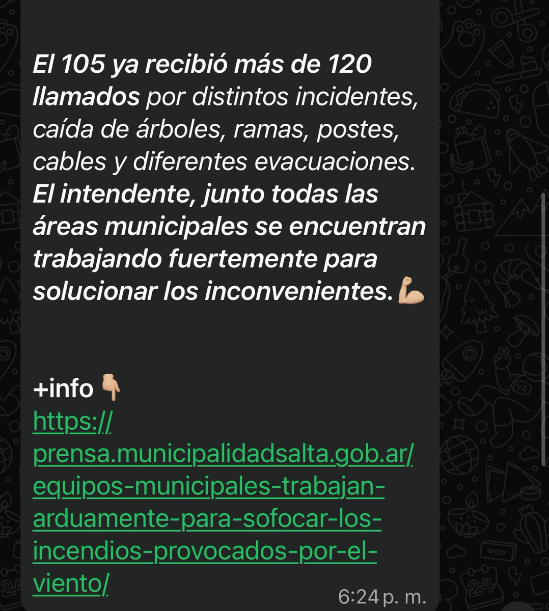 🚨 Alerta por vientos extremos en Salta: <a href="/MuniSalta/">Salta Ciudad</a> recomienda no salir de sus hogares salvo urgencia.