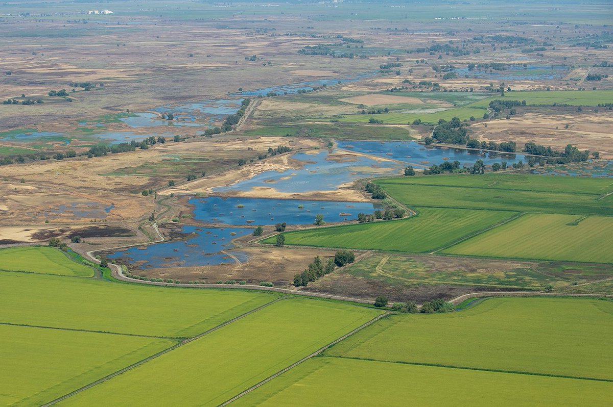 California Farm Water Coalition tweet media