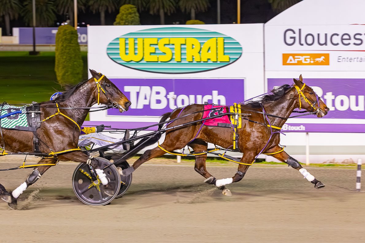 JpPacing's tweet image. Mighty Ronaldo 💪🏼
1.8.2025 $9 PINTS IN STEELO'S OR JP'S FFA 
Mile Rate 1.52.6 🔥
What a win 🥇
Ronaldo is racing in career best form &amp;amp; showing everyone just how tough he is! 

Congratulations to Connections 🏆 

📸 @Pacepix_AU 
👨‍✈️@GaryHallJnr