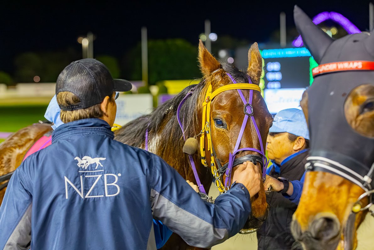 JpPacing's tweet image. Mighty Ronaldo 💪🏼
1.8.2025 $9 PINTS IN STEELO'S OR JP'S FFA 
Mile Rate 1.52.6 🔥
What a win 🥇
Ronaldo is racing in career best form &amp;amp; showing everyone just how tough he is! 

Congratulations to Connections 🏆 

📸 @Pacepix_AU 
👨‍✈️@GaryHallJnr