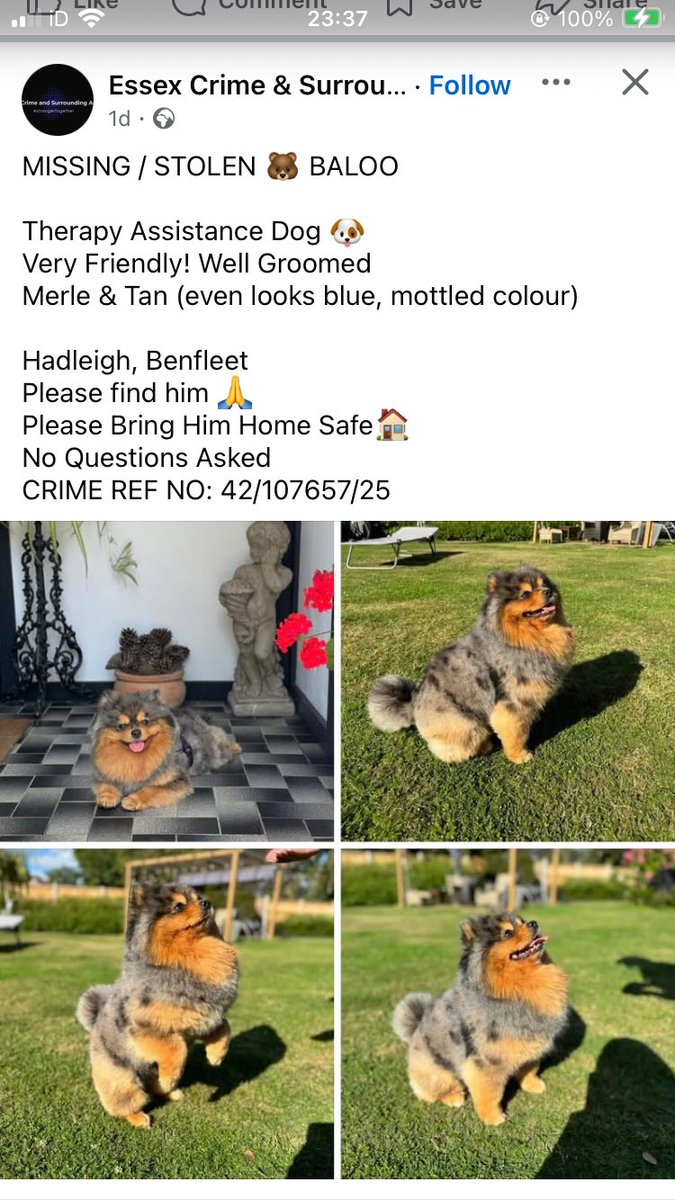 Please share - stolen

facebook.com/share/172Vi5kB…