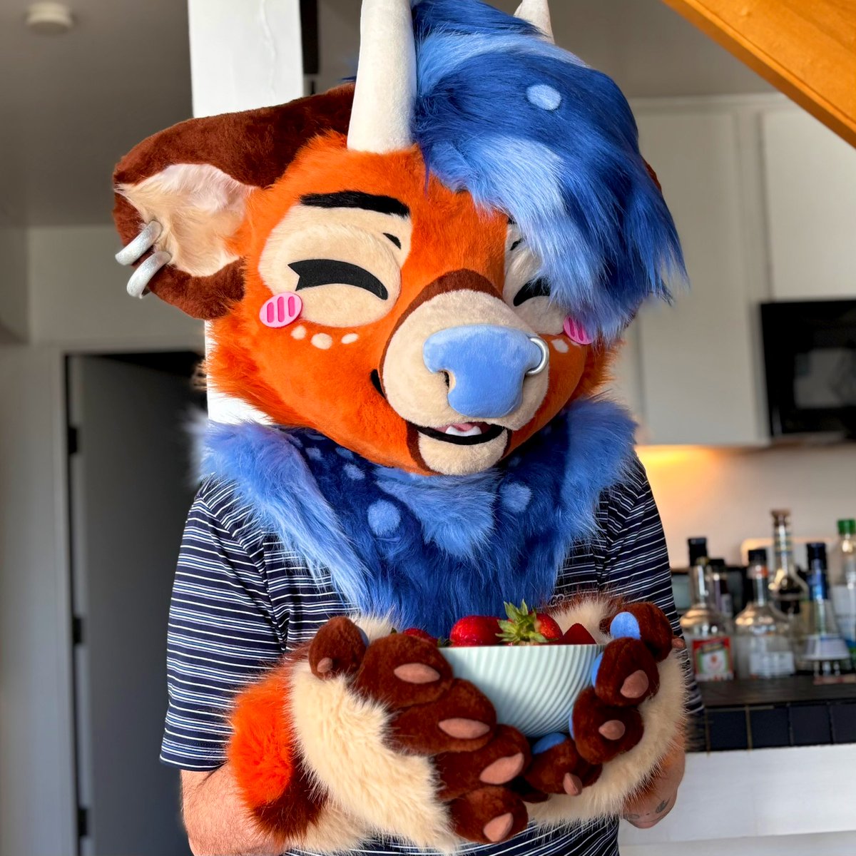 Deer boy acquires their favorite food 🍓💙

 #FursuitFriday 

📸: <a href="/CoffeeCupGato/">Coffee Cup 🔜 AFC</a>