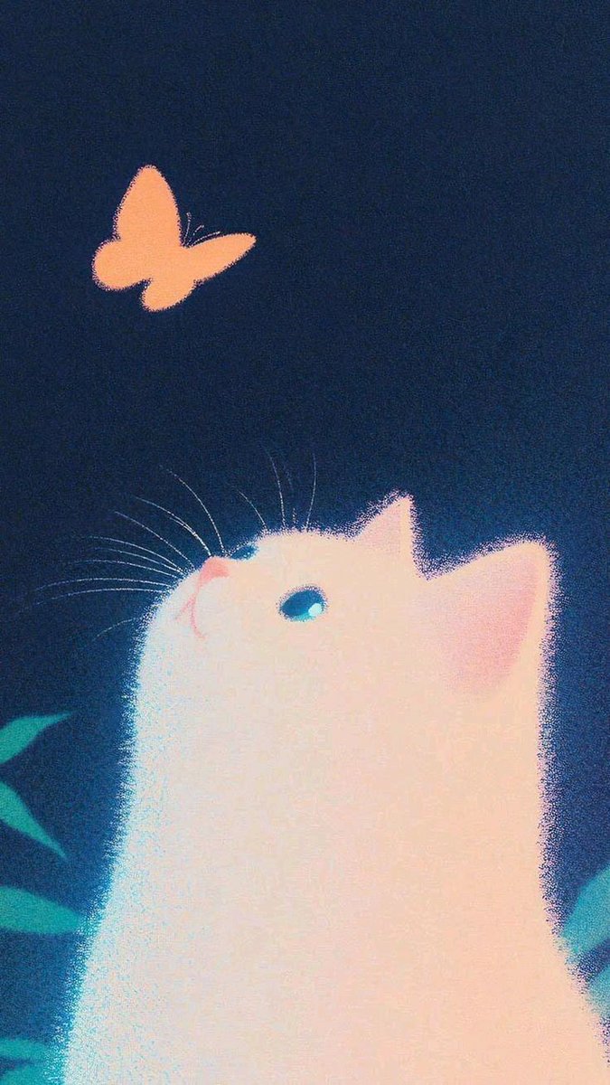 cutedreamvibes tweet picture