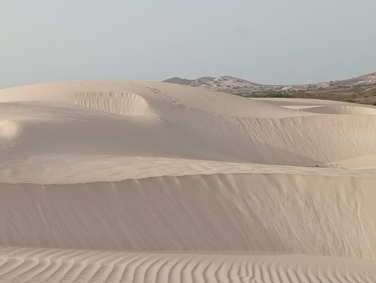 maps.app.goo.gl/DAkTY5uQj8PNG8…