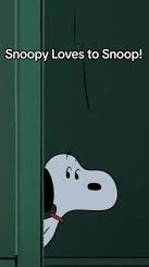 maxversnoopy's tweet image. when the neighbours argument sounds good asf 🤣😭