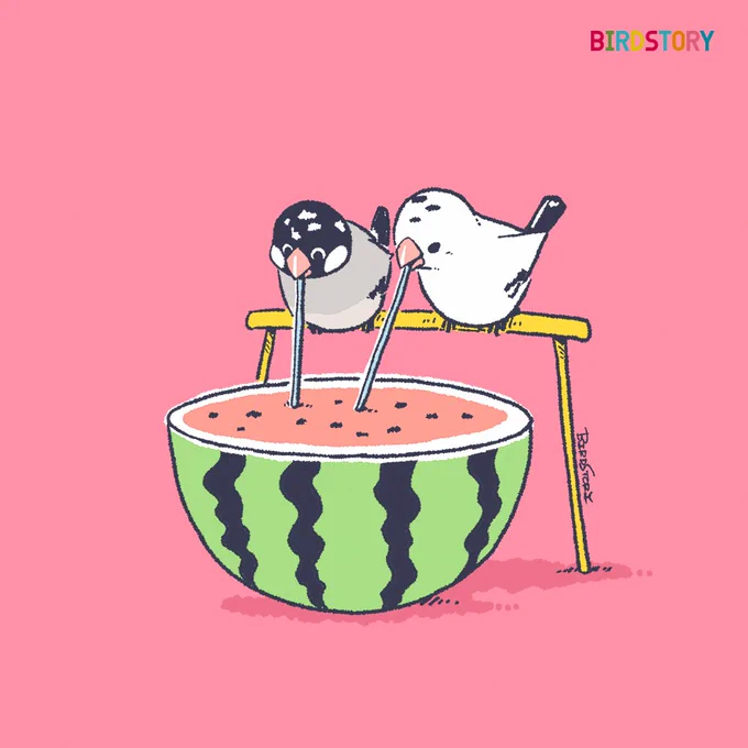 おはようございます。 本日は8月2日。 語呂合わせから、おやつの日とのことです #BIRDSTORY #おやつの日 #文鳥