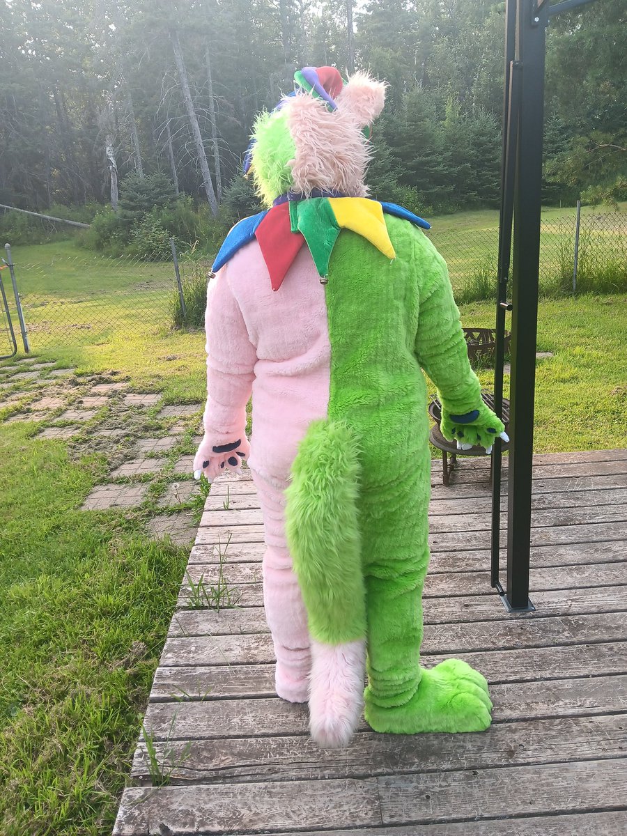 Xeonalove867's tweet photo. I am now officially a fullsuiter jesterjolly the skulldog has become a fullsuit ✨️ https://t.co/ewvSO52mBZ