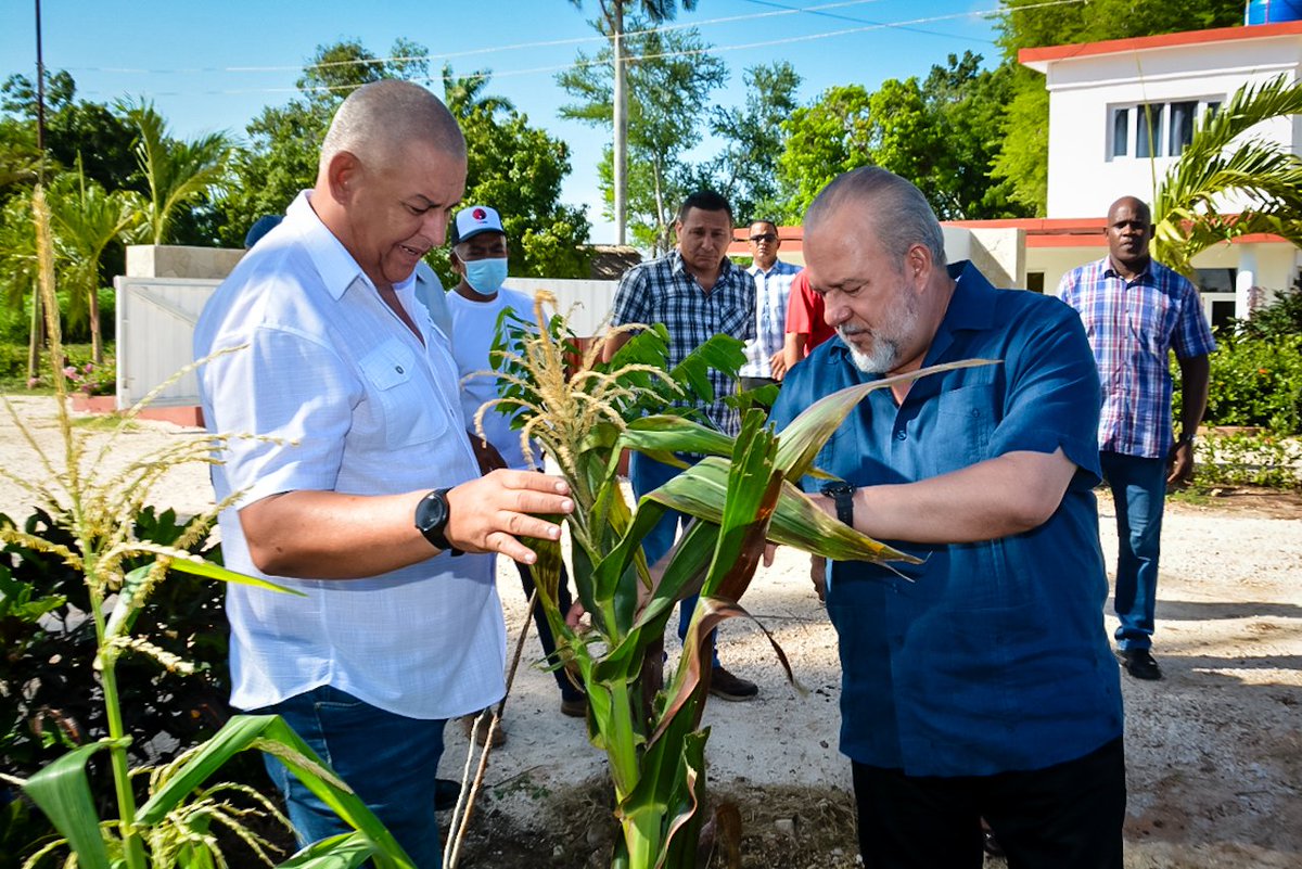 En visita a centros de alto impacto económico y social en Holguín, convocamos a ampliar los autoconsumos, como alternativa viable para incrementar la disponibilidad de alimentos. Perfeccionar la atención a las personas en situación de vulnerabilidad es otra de las prioridades.
