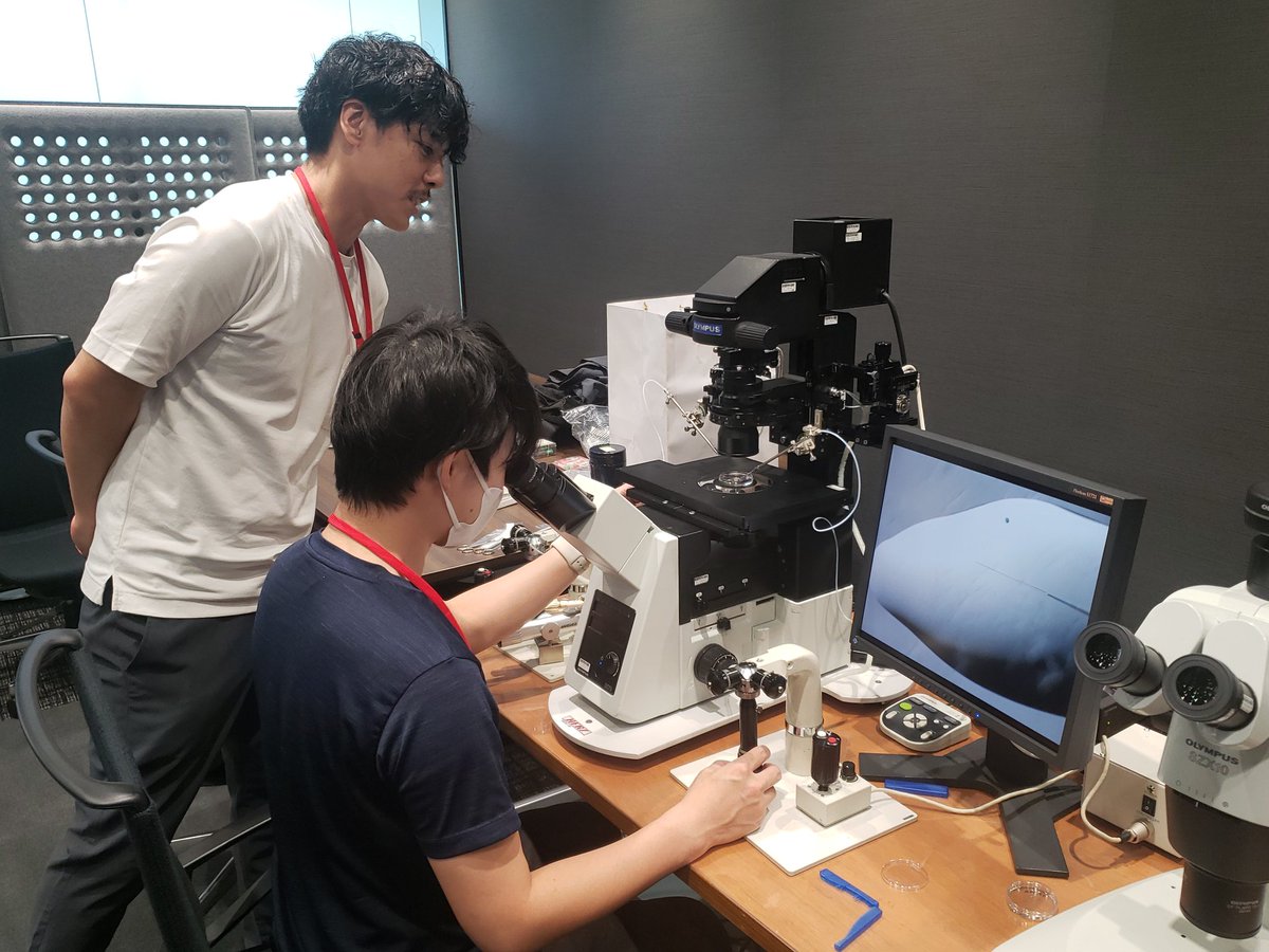 JSCE_PR's tweet photo. 【Summer Workshopまもなく登録締切】

Summer Workshop 2025を8/22(金)に開催いたします。
当会ワークショップでのみ開催している透明帯除去コースをはじめ、全コース若干名受付中です。
申込締切は8/8(先着順です)。
皆様のご参加をお待ちしております！

 詳細はこちら▼
https://t.co/b6cABaJo6J https://t.co/6ZnhMbyDBb