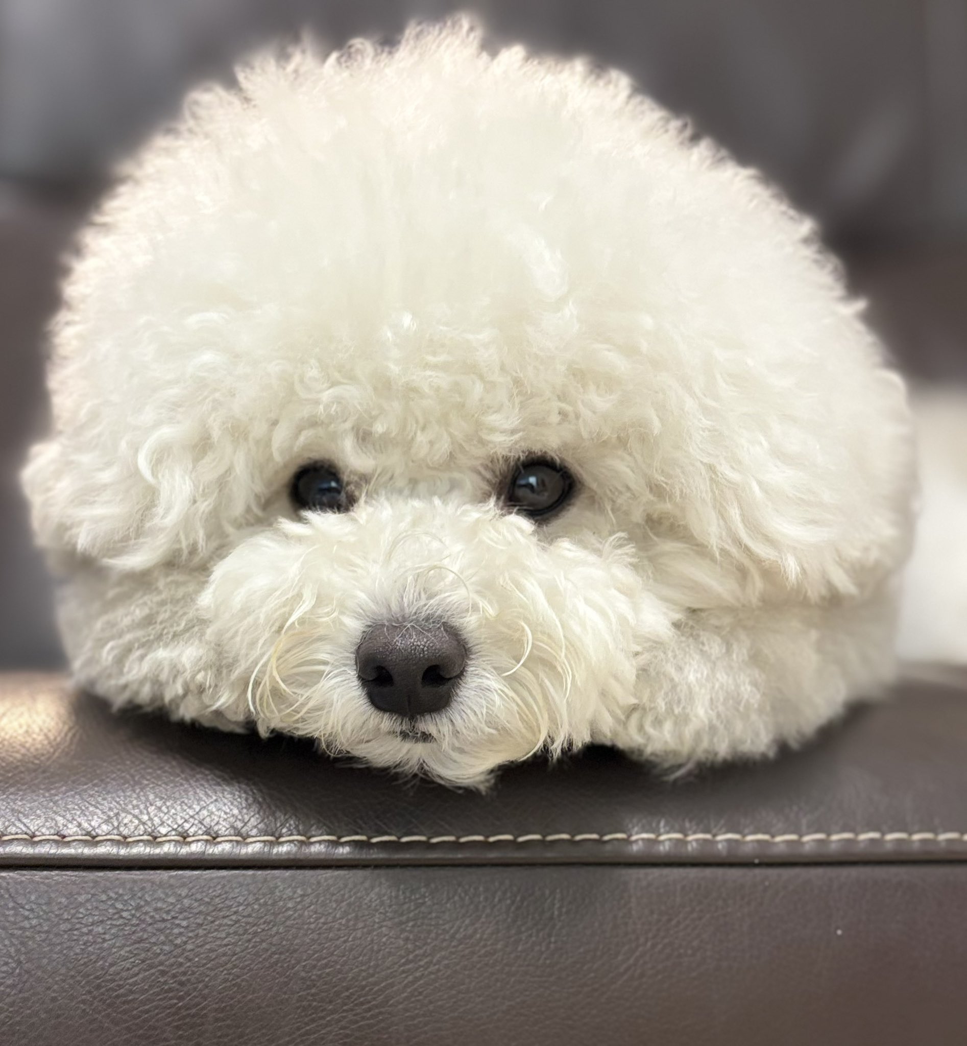 CHIEN様♡ありがとうございます♡ 호감말투