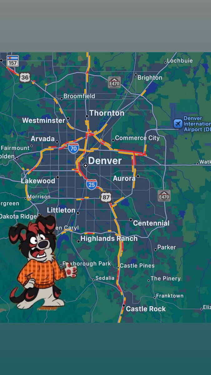 FlopDog 🐶❤️🐶 🔜 LVFC tweet media