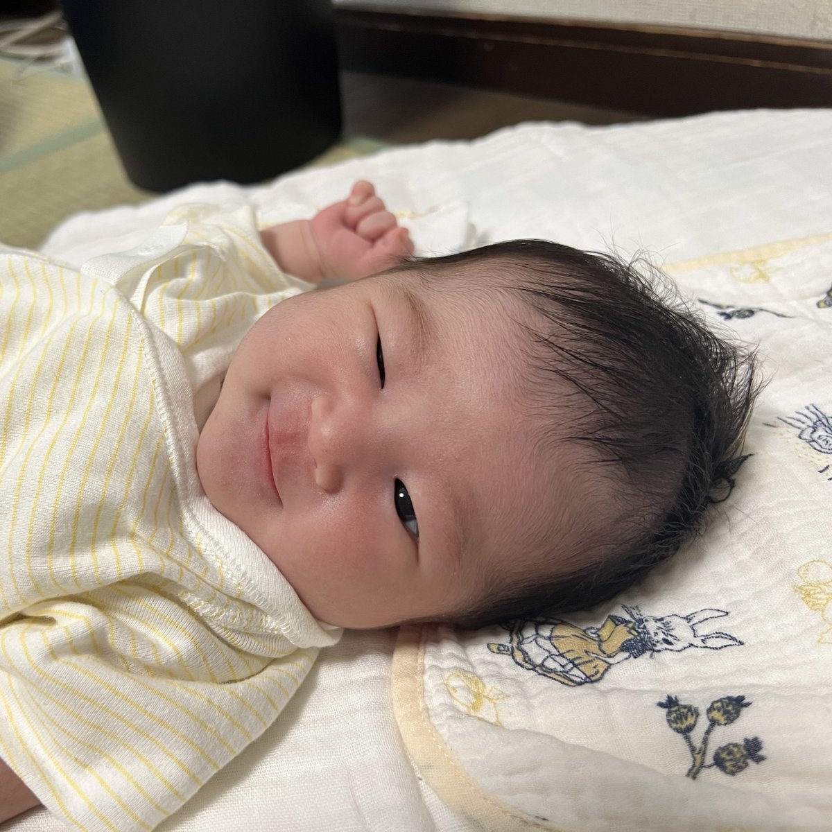 先日出産しました！
今はもう退院していて、実家に帰ってのんびり育児してます👶🏻

おうち帰ったら🐍🦎🐢たちに挨拶しなきゃね