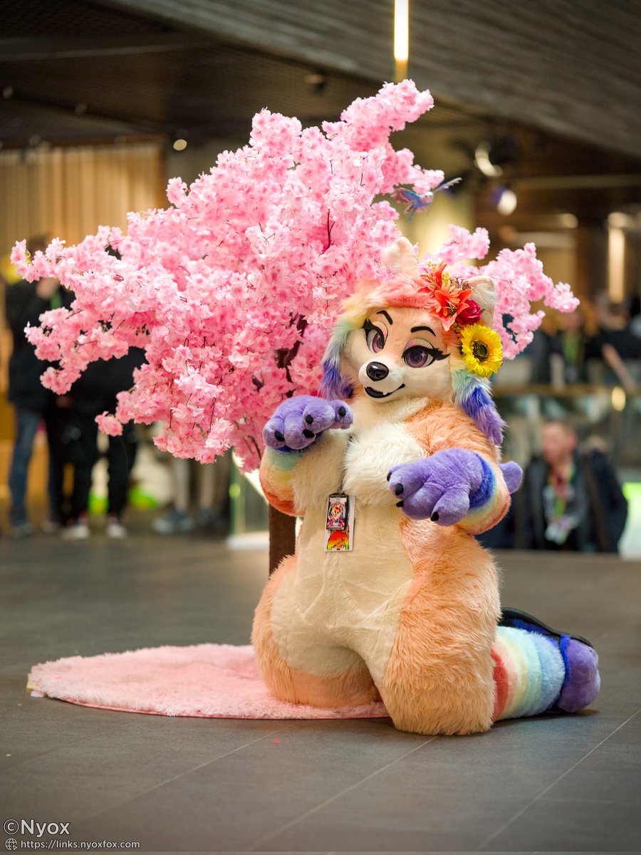 π Sicka π π #NFC25 (@sickafox) on Twitter photo "The flower that blooms in adversity is the most rare and beautiful of all" πΈπ
Thanks <a href="/TheNyox/">Nyox (moved to @nyox.bsky.social)</a> for this amazing photo from #NFC25
Happy #FursuitsFriday "The flower that blooms in adversity is the most rare and beautiful of all" πΈπ
Thanks <a href="/TheNyox/">Nyox (moved to @nyox.bsky.social)</a> for this amazing photo from #NFC25
Happy #FursuitsFriday