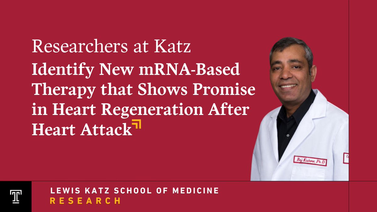 Lewis Katz School of Medicine (@katztemplemed) on Twitter photo #KatzTempleMed researchers led by <a href="/kishraj2020/">Raj Kishore</a> took a major step toward developing regenerative therapies for ischemic heart disease, identifying a strategy that may help repair damaged heart tissue by reactivating an important developmental gene: templehealth.org/about/news/res… #KatzTempleMed researchers led by <a href="/kishraj2020/">Raj Kishore</a> took a major step toward developing regenerative therapies for ischemic heart disease, identifying a strategy that may help repair damaged heart tissue by reactivating an important developmental gene: templehealth.org/about/news/res…