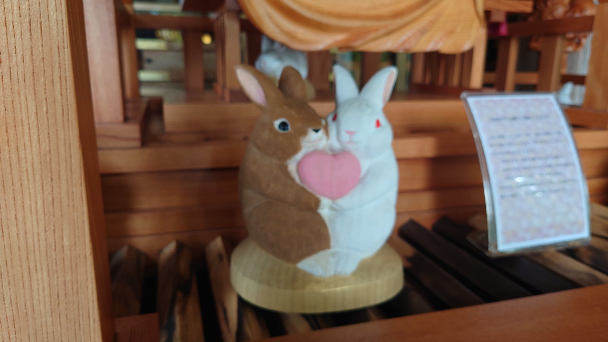 うさぎ好きマスター うさぎ on X: 