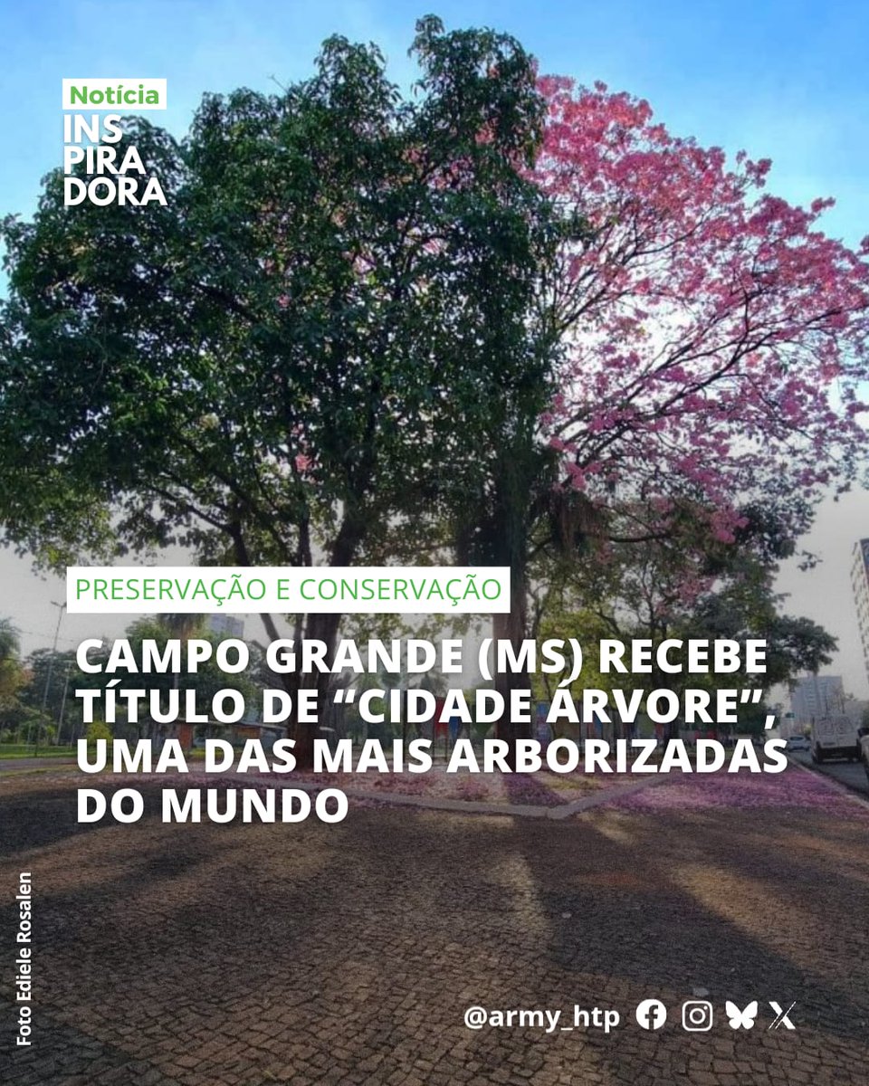 📰 | Notícia inspiradora do dia!

Campo Grande, capital de Mato Grosso do Sul, lidera o ranking nacional de arborização urbana e há seis anos consecutivos recebe o título internacional de "Tree City of the World" (Cidade Árvore do Mundo).

Criado pela Organização das Nações